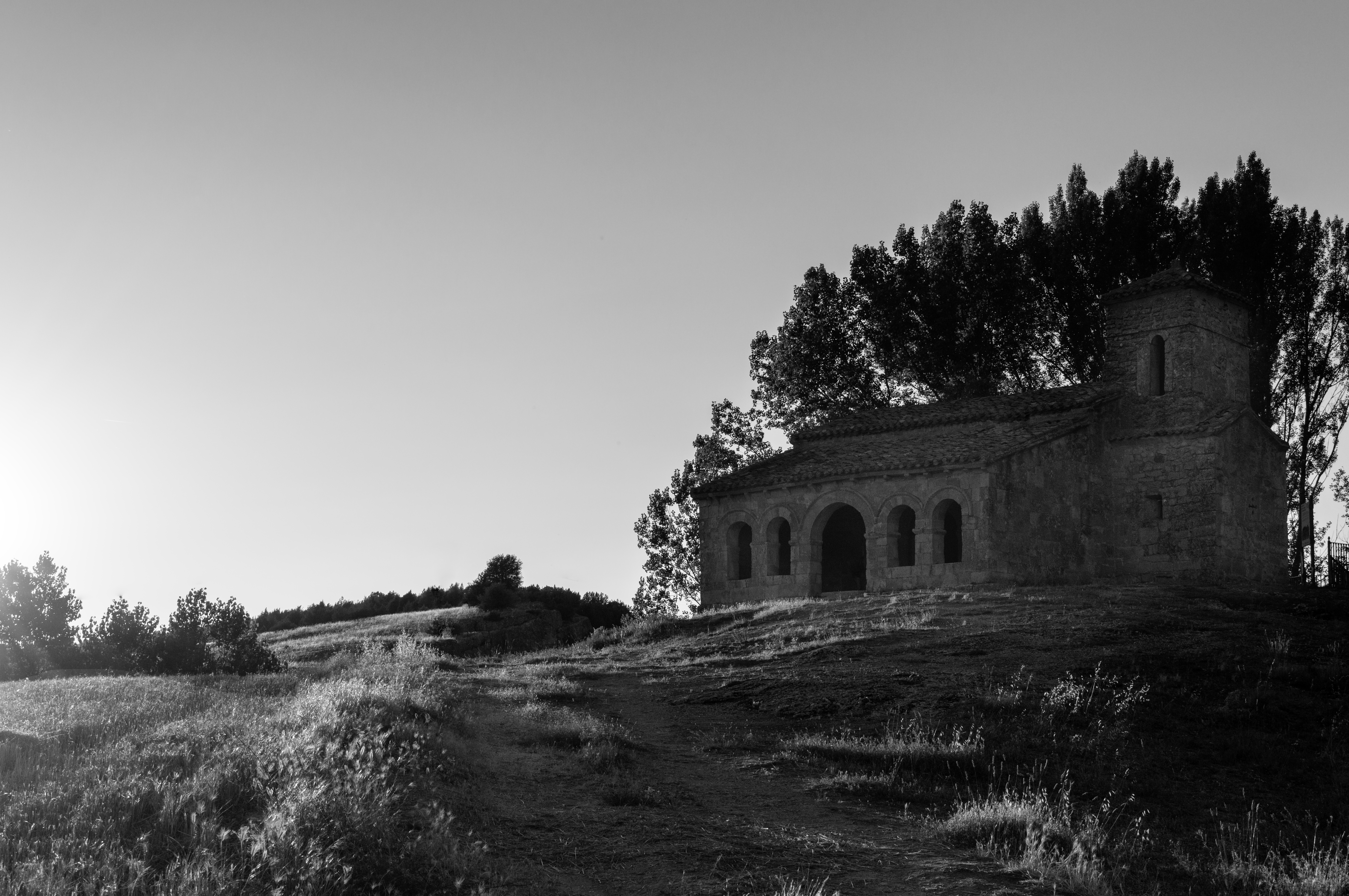 Entre Luz y Sombra